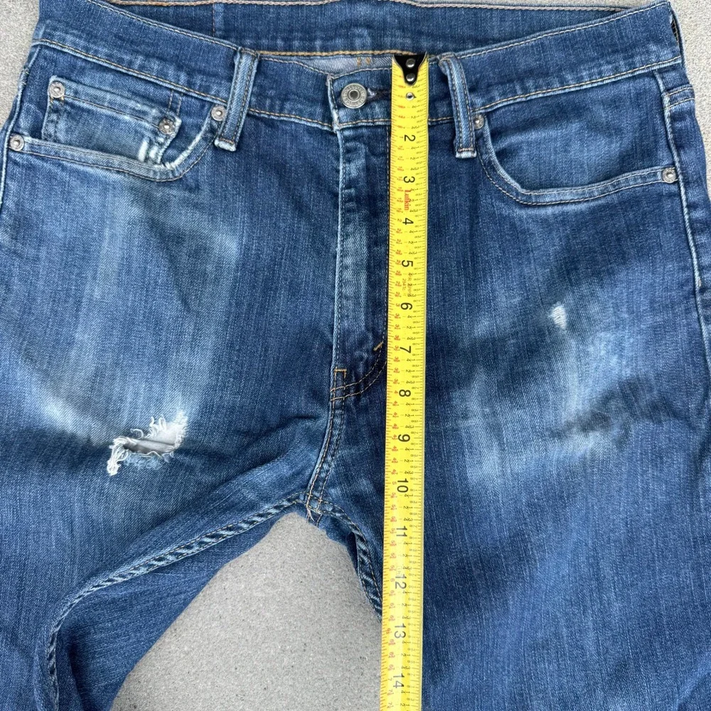 Levis levis 511